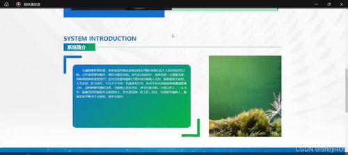 基于SSM与Vue的二手数码产品回收管理系统 数字化内容制作服务详解